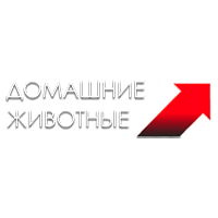 Домашние животные