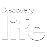 Discovery Life PL