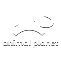 Animal Planet HD