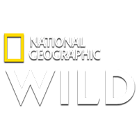 Nat Geo Wild