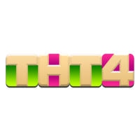 ТНТ4 International
