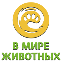 В мире животных HD