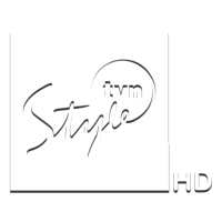 TVN Style HD