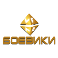 VF Боевик