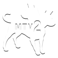 MTV 2 [US]