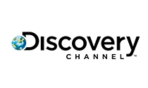 Discovery