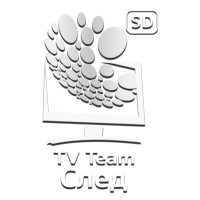 TEAM След